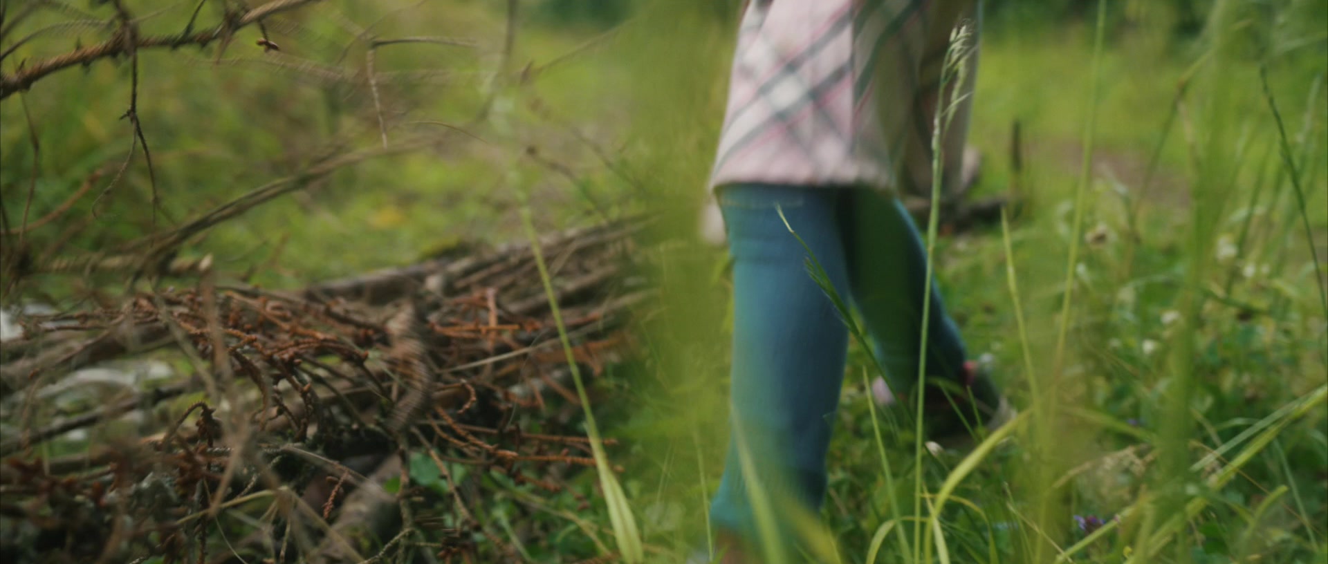 Kinder spielen im grünen Licht des Waldes