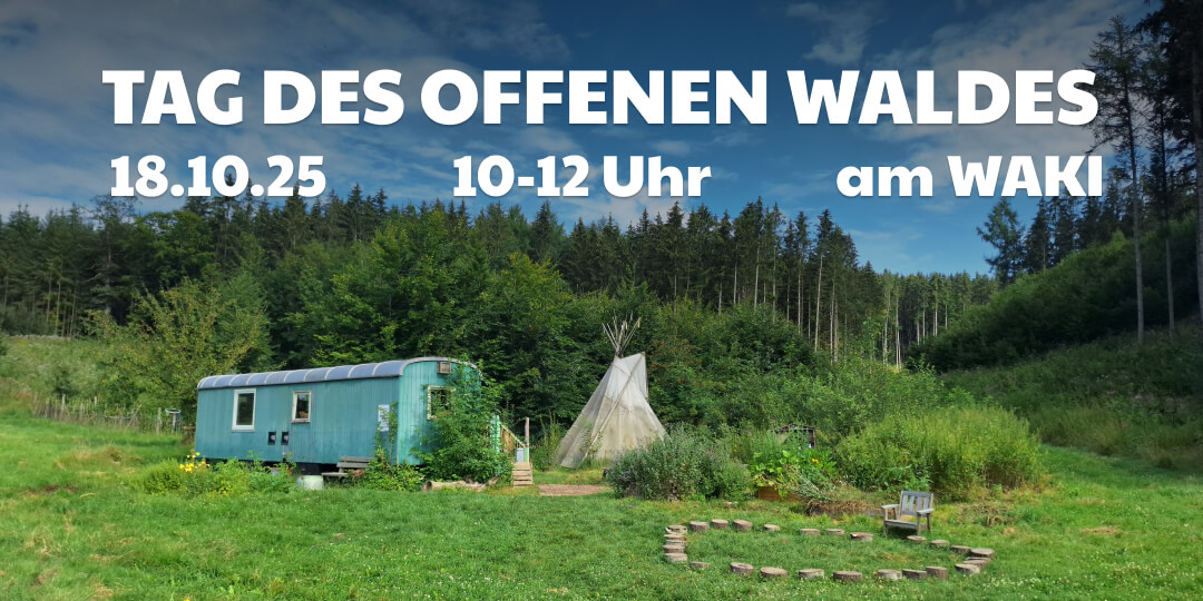 Tag des offenen Waldes 2025